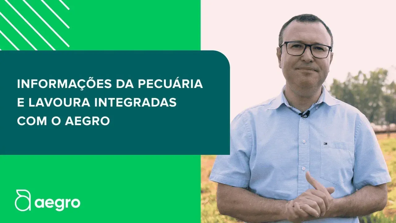 Fazenda Quatro Maravilhas: Melhorando a Fazenda na Amazônia com Plantação, Gado e o Aegro