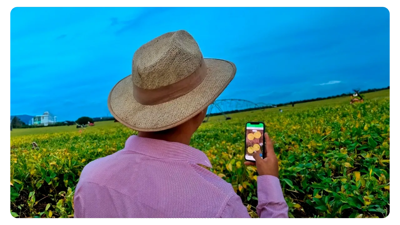 App móvel do Aegro sendo usado no campo pelo produtor.