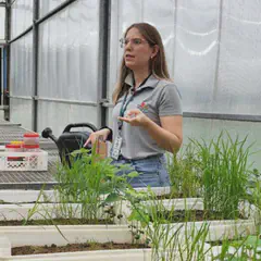 Ana Lígia Giraldeli