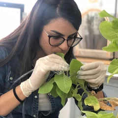 Thaís Fagundes Matioli