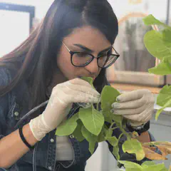 Thaís Fagundes Matioli