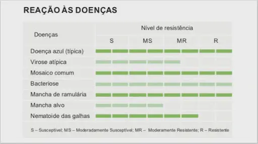 Nível de resistência à doenças da cultivar BRS 500 B2RF Tabela que mostra nível de resistência da nova cultivar de algodão