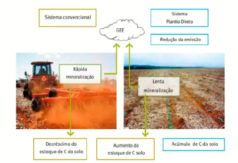 Esquema que mostra a dinâmica do carbono no sistema de preparo convencional e no sistema plantio direto