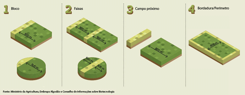 Este infográfico ilustra quatro modelos diferentes para a implementação de áreas de refúgio na agricultura, uma prática essen