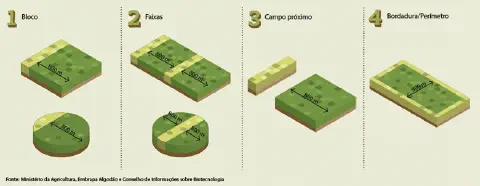 Este infográfico ilustra quatro modelos diferentes para a implementação de áreas de refúgio na agricultura, uma prática essen