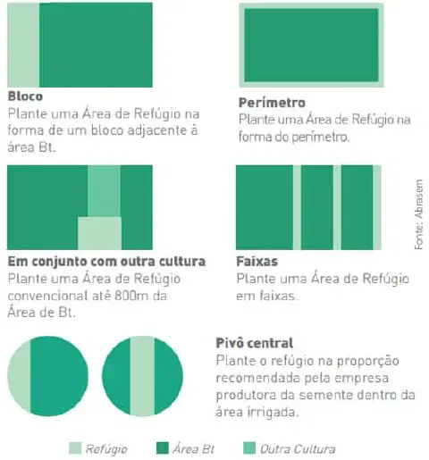 infográfico educativo que ilustra cinco métodos diferentes para a implementação de áreas de refúgio em lavouras