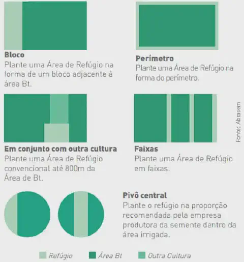 infográfico educativo que ilustra cinco métodos diferentes para a implementação de áreas de refúgio em lavouras