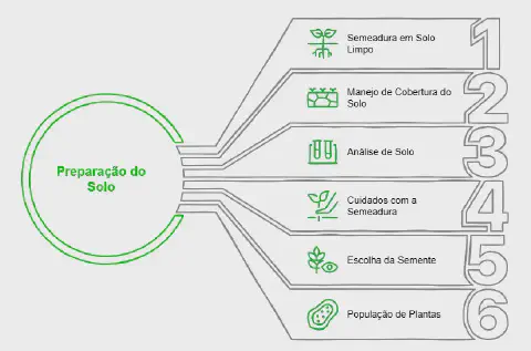 Este infográfico detalha as seis etapas fundamentais para a preparação do solo antes do plantio. No centro, um círculo verde