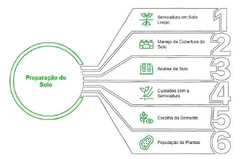 Este infográfico detalha as seis etapas fundamentais para a preparação do solo antes do plantio. No centro, um círculo verde