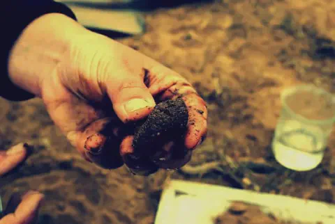 close-up da mão de uma pessoa, provavelmente um agricultor ou agrônomo, analisando um torrão de terra escu