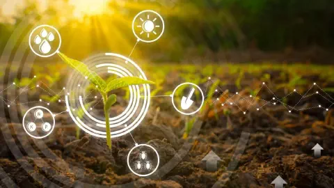 o conceito de agricultura de precisão e tecnologia no campo. Em primeiro plano, uma jovem planta brota do so