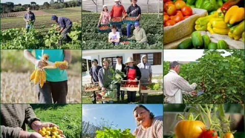 Esta imagem é uma colagem composta por nove fotografias que retratam a diversidade e a essência da agricultura familiar e da