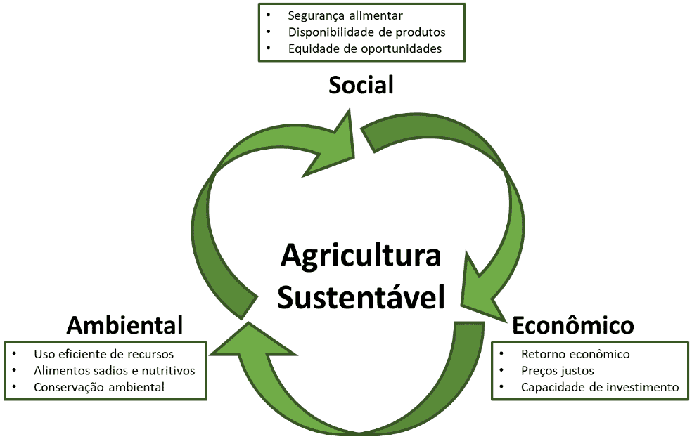 infográfico que ilustra o conceito de Agricultura Sustentável, fundamentado no tripé da sustentabilidade. No ce