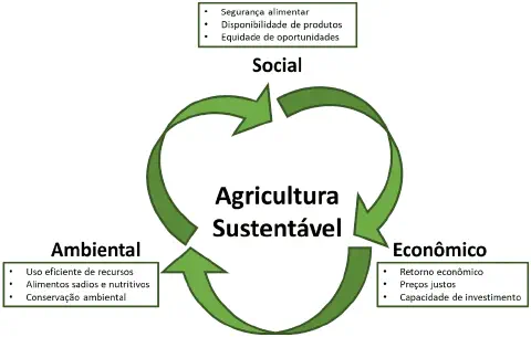 infográfico que ilustra o conceito de Agricultura Sustentável, fundamentado no tripé da sustentabilidade. No ce
