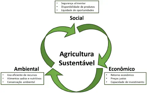 infográfico que ilustra o conceito de Agricultura Sustentável, fundamentado no tripé da sustentabilidade. No ce