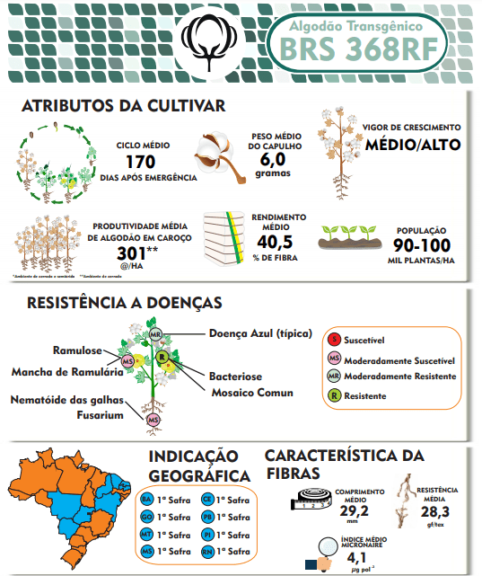 Este infográfico é uma ficha técnica visual que detalha as especificações da cultivar de algodão transgênico BRS 368RF. A ima