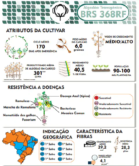 Este infográfico é uma ficha técnica visual que detalha as especificações da cultivar de algodão transgênico BRS 368RF. A ima