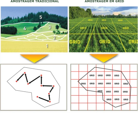 infográfico comparativo que ilustra duas metodologias distintas de amostragem de solo para agricultura de preci