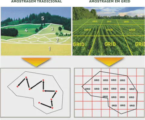 infográfico comparativo que ilustra duas metodologias distintas de amostragem de solo para agricultura de preci