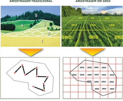 infográfico comparativo que ilustra duas metodologias distintas de amostragem de solo para agricultura de preci