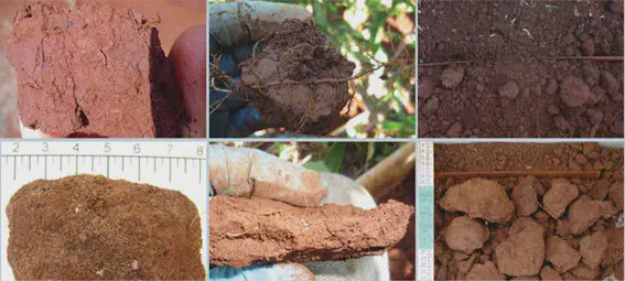Análise da Estrutura e Compactação do Solo na Agricultura colagem composta por seis fotografias que ilustram diferentes aspectos da análise física do solo em um context