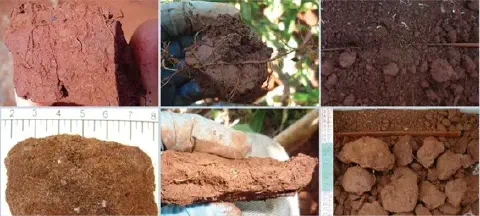 colagem composta por seis fotografias que ilustram diferentes aspectos da análise física do solo em um context
