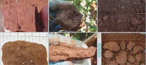 colagem composta por seis fotografias que ilustram diferentes aspectos da análise física do solo em um context