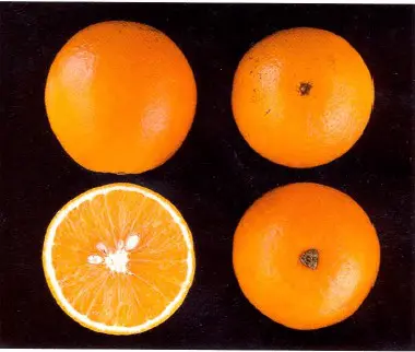 quatro laranjas sobre um fundo preto sólido, que realça a cor vibrante da fruta. Três das laranjas estão intei