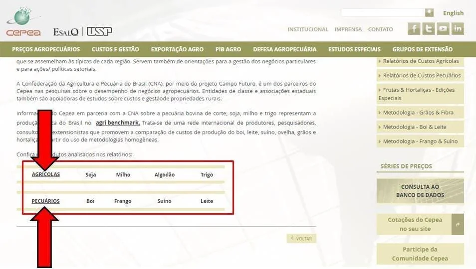 Análise de Custos de Produção Agrícola e Pecuária | CEPEA captura de tela do site do CEPEA (Centro de Estudos Avançados em Economia Aplicada), uma importante fonte de d