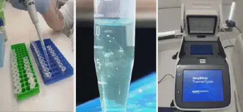 composição de três cenas que ilustram um processo de análise de biologia molecular em um laboratório. À esquer