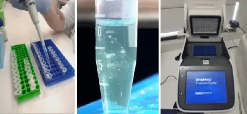 composição de três cenas que ilustram um processo de análise de biologia molecular em um laboratório. À esquer