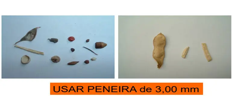 comparativo visual utilizado na análise de qualidade de grãos, provavelmente soja, demonstrando o processo de s