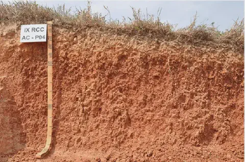 perfil de solo em corte vertical, uma técnica conhecida como abertura de trincheira para análise pedológica