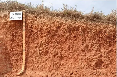 perfil de solo em corte vertical, uma técnica conhecida como abertura de trincheira para análise pedológica