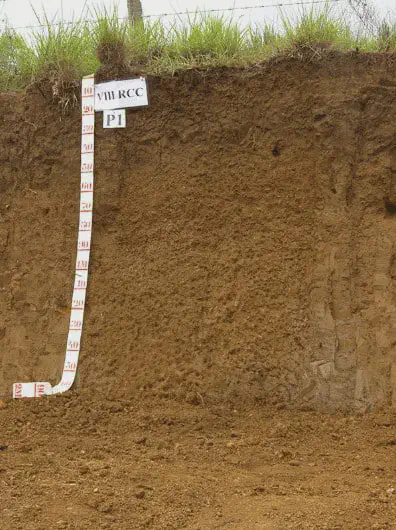 perfil de solo, que é um corte vertical expondo as diferentes camadas ou horizontes do solo. Uma trena métr