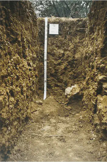 perfil de solo exposto em uma trincheira, uma técnica fundamental na agronomia para análise pedológica. No