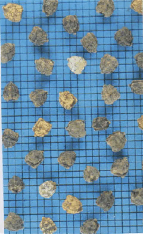 close-up de sementes, possivelmente de algodão deslintado, dispostas sobre uma superfície quadriculada azul