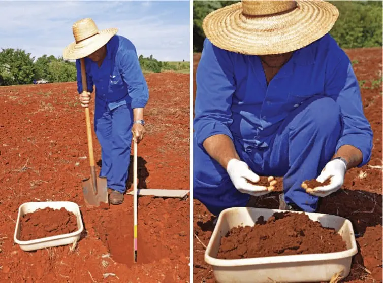 díptico que ilustra o processo de análise de solo em campo. No painel esquerdo, um agricultor ou técnico agrôno