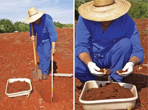 díptico que ilustra o processo de análise de solo em campo. No painel esquerdo, um agricultor ou técnico agrôno