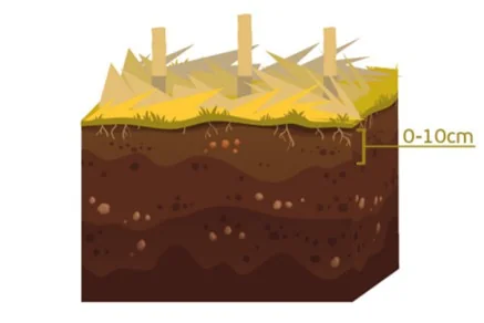 ilustração didática de um perfil de solo, exibindo um bloco de terra em corte transversal. Na superfície, obse