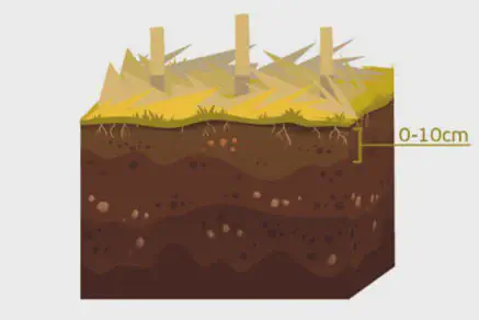 ilustração didática de um perfil de solo, exibindo um bloco de terra em corte transversal. Na superfície, obse