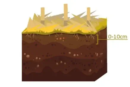 ilustração didática de um perfil de solo, exibindo um bloco de terra em corte transversal. Na superfície, obse