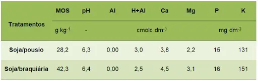 uma tabela comparativa de resultados de uma análise química do solo, contrastando dois sistemas de manejo agrí