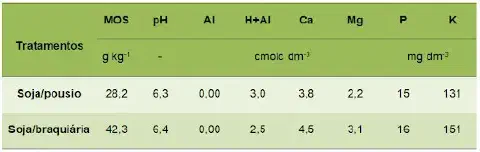 uma tabela comparativa de resultados de uma análise química do solo, contrastando dois sistemas de manejo agrí