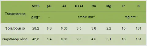 uma tabela comparativa de resultados de uma análise química do solo, contrastando dois sistemas de manejo agrí