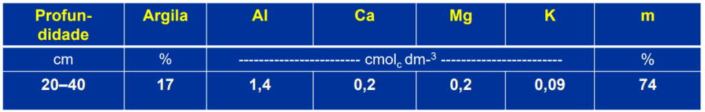 uma tabela com os resultados de uma análise química do solo, especificamente para a camada de 20 a 40 centímet