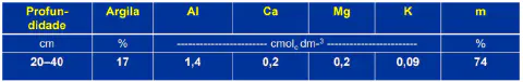 uma tabela com os resultados de uma análise química do solo, especificamente para a camada de 20 a 40 centímet