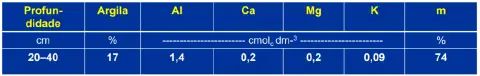 uma tabela com os resultados de uma análise química do solo, especificamente para a camada de 20 a 40 centímet