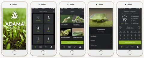 uma sequência de cinco telas de um aplicativo móvel para o agronegócio, chamado 'ADAMA alvo'. As telas são apr