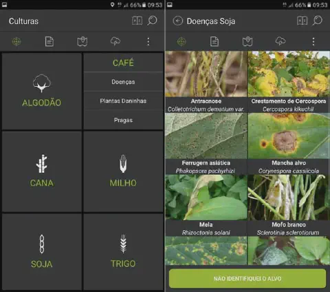 duas telas de um aplicativo móvel de agronomia, projetado para auxiliar na identificação de problemas em lavou